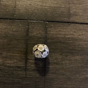 Pandora charm